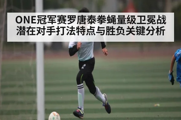 ONE冠军赛罗唐泰拳蝇量级卫冕战潜在对手打法特点与胜负关键分析 | kaiyun