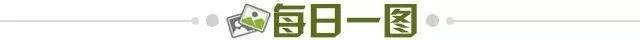 9d75b3dc-6c65-4f5c-8781-413396706bf5.jpg@!img01
